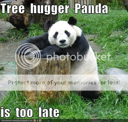 Cute animals Funny-pictures-tree-hugger-panda