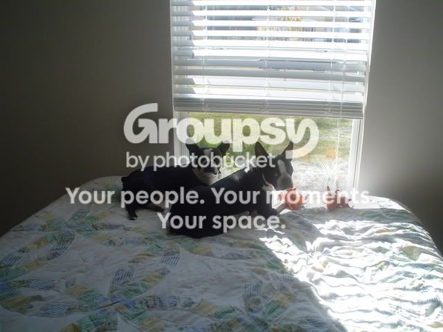Photobucket - Video and Image Hosting