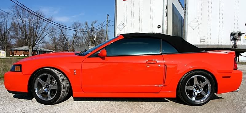 04 Comp Orange Cobra Vert whipple | Mustang and Ford Performance Forums