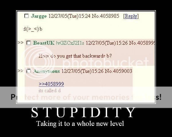 Funny Pictures Stupidity