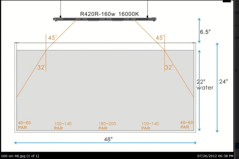 projet bout de recif 275L Razorover120g