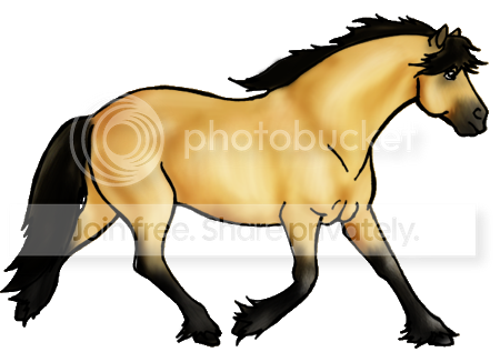 Whisper of the Winds