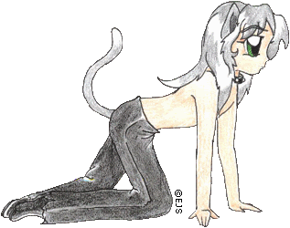 Pounce