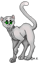 Sally