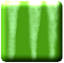 Square Watermelon