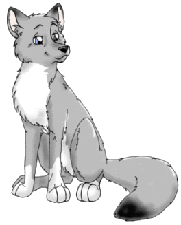 Rufus