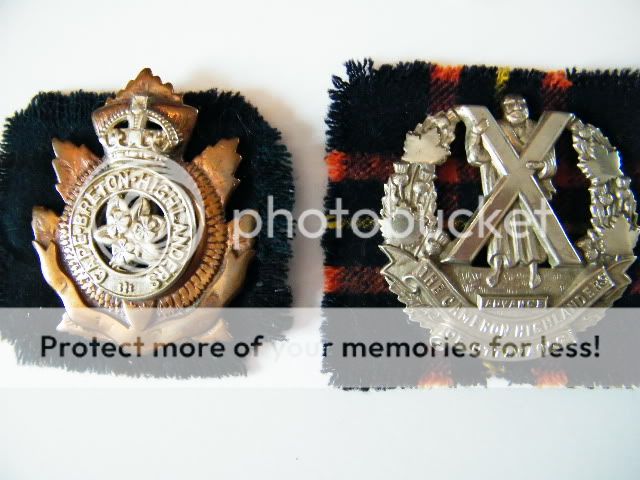 Royal Canadian Artillery Badge Modified 2010_06100012