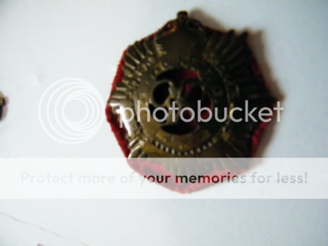 Royal Canadian Artillery Badge Modified 2010_06100015