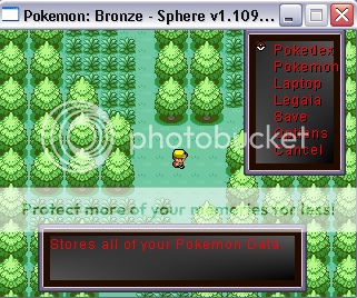 Pokemon: Bronze