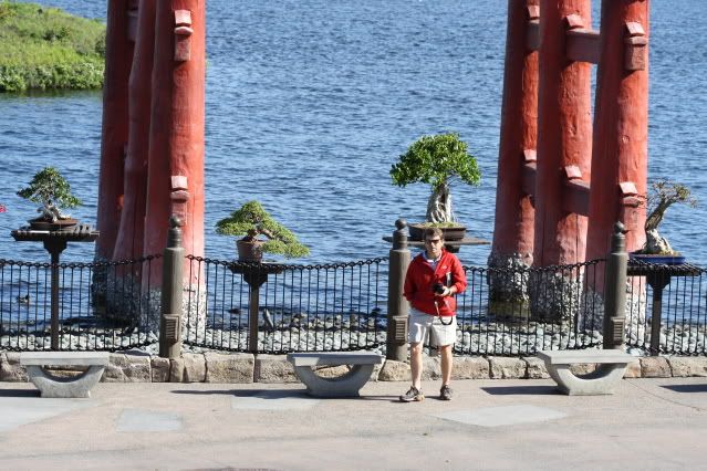 Bonsai Exhibit @ Epcot's Flower & garden Festival 2009 IMG_1114