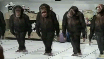 ¿Que grupo de animales bailan mejor? PHOTOSHOPGreatdancingchimps