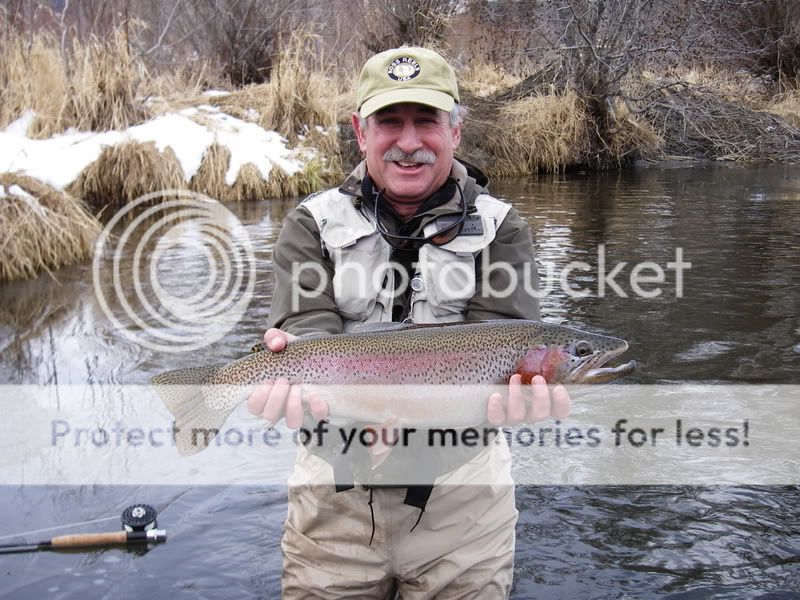 Beautiful Rainbow caught with.............. - The Classic Fly Rod Forum