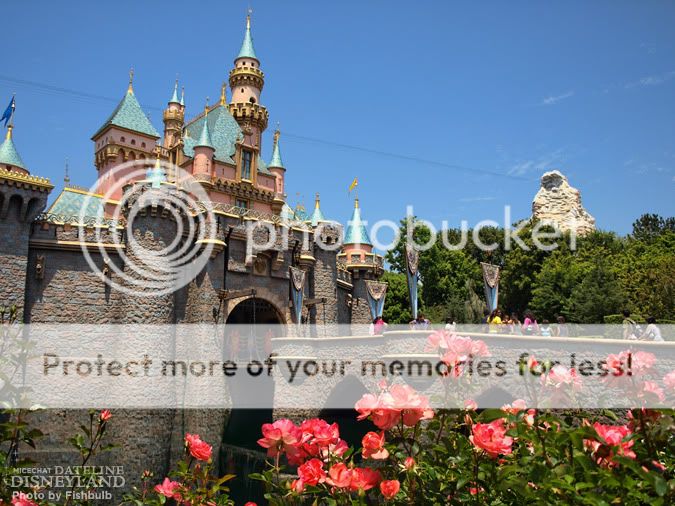[Disneyland Resort] Alors, les 55 ans ? P1015672