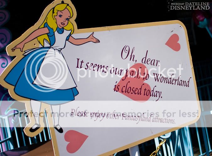 [Disneyland Park] Alice in Wonderland fermée pour mise en conformité (16 juillet au 13 août 2010 et de mi-mars au 04 juillet 2014)  IMG_1944