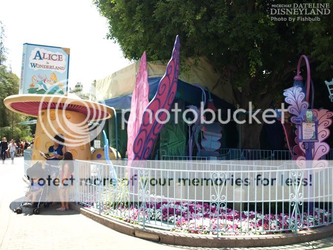 [Disneyland Park] Alice in Wonderland fermée pour mise en conformité (16 juillet au 13 août 2010 et de mi-mars au 04 juillet 2014)  P1018656