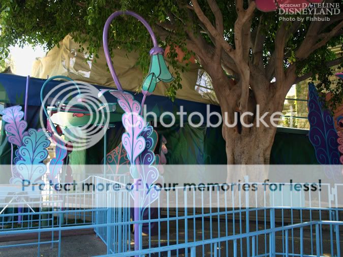 [Disneyland Park] Alice in Wonderland fermée pour mise en conformité (16 juillet au 13 août 2010 et de mi-mars au 04 juillet 2014)  P1018665