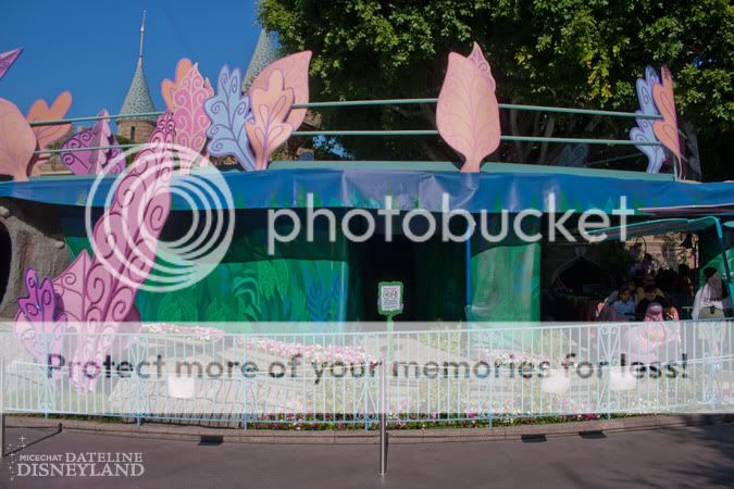[Disneyland Park] Alice in Wonderland fermée pour mise en conformité (16 juillet au 13 août 2010 et de mi-mars au 04 juillet 2014)  IMG_2350