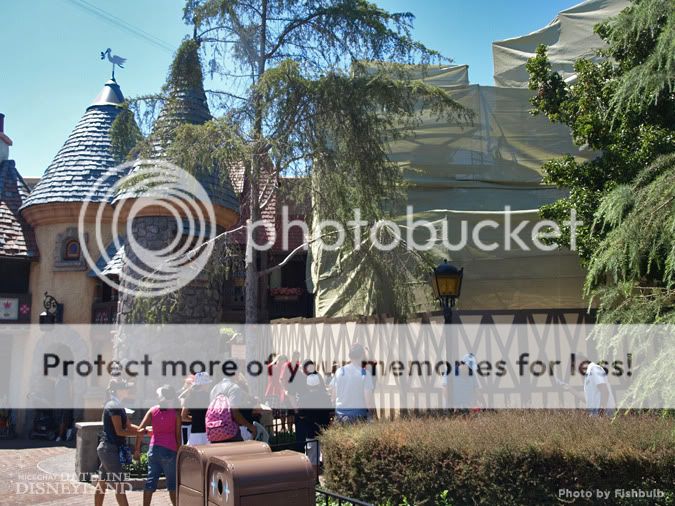 [Disneyland Park & Magic Kingdom] Meet & Greet Tangled P1011398