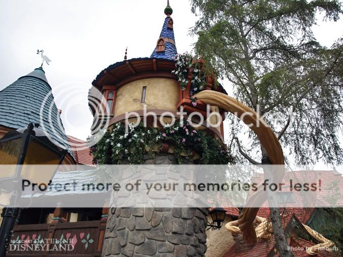 [Disneyland Park & Magic Kingdom] Meet & Greet Tangled P1017441