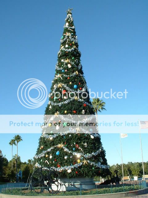 [Natale nel mondo] WDW Orlando X009