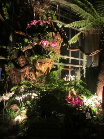 photo IMG_7656.jpg