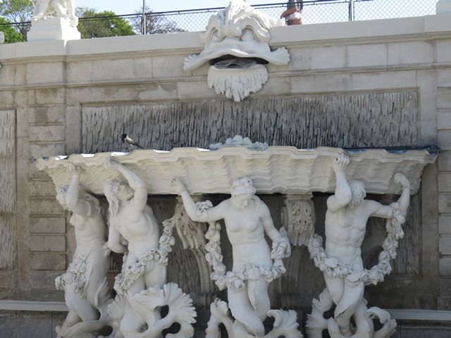 photo IMG_1551.jpg