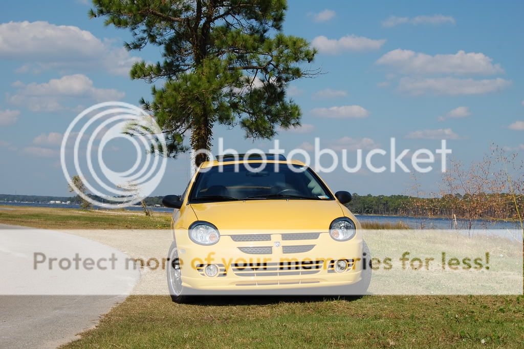 WTB/WTT Yellow Dodge SRT-4 Hood DSC_0065