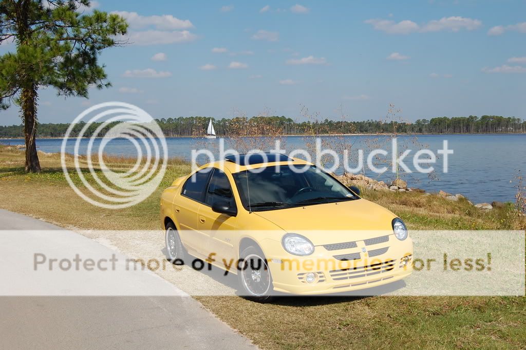 Solar Yellow Neon R/T Photoshoot. Enjoy! 56K warning! Daniel1