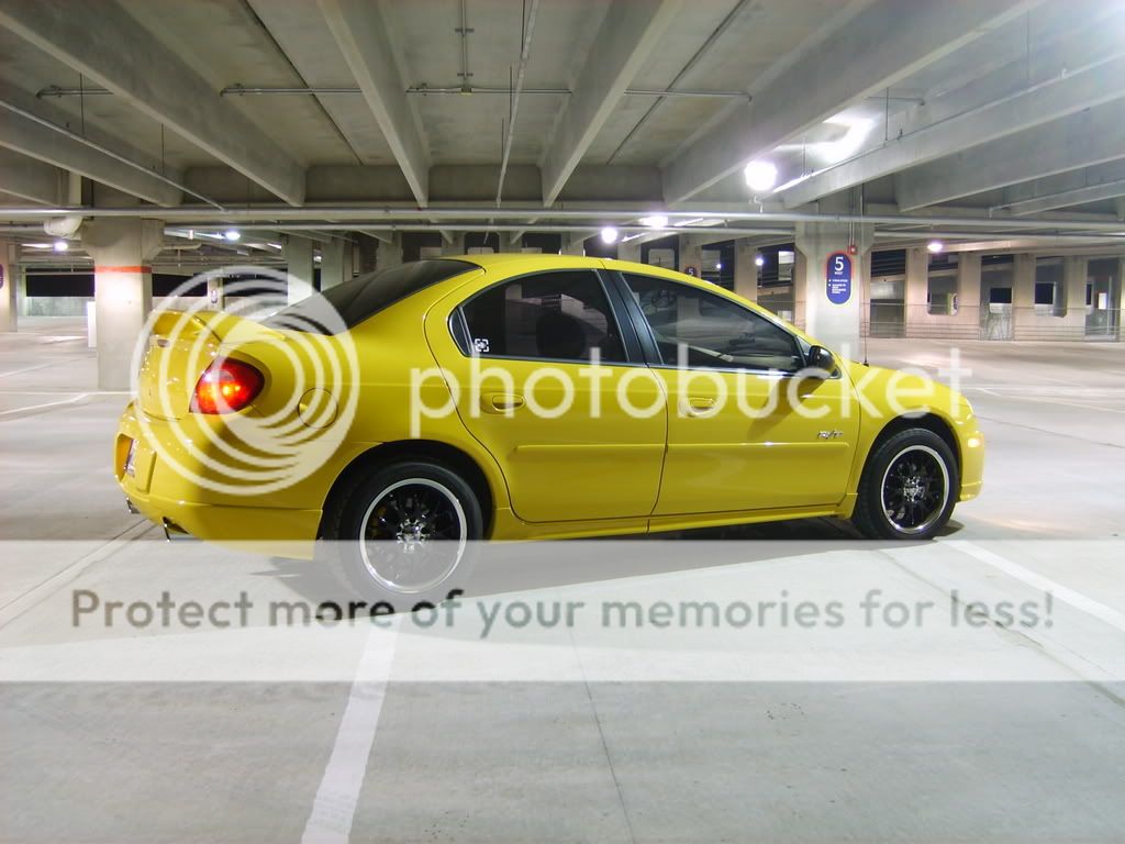 Solar Yellow Neon R/T Photoshoot. Enjoy! 56K warning! S5000206