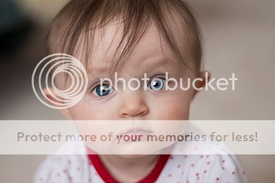 photo IMG_0011rs2_zpsc14d91c8.jpg