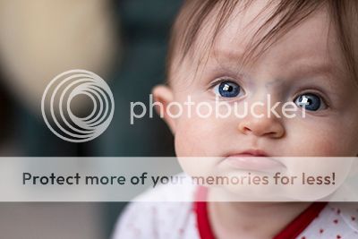 photo IMG_0015rs2_zps3c3cc90c.jpg