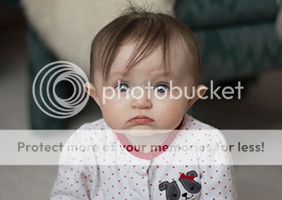 photo IMG_0030rs2_zps120bb22c.jpg