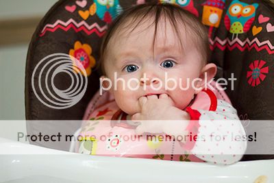 photo IMG_0711rs2_zps53d9f8cf.jpg