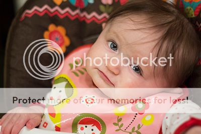 photo IMG_0727rs2_zps433f5355.jpg