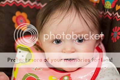 photo IMG_0734rs2_zps75c18394.jpg