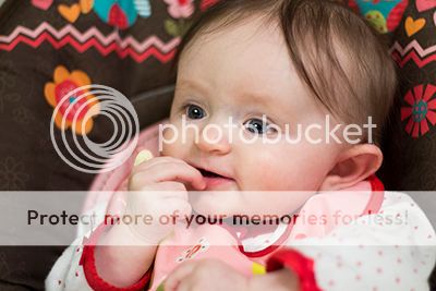 photo IMG_0739rs2_zps04c5e4fb.jpg