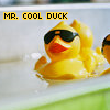  photo thmrcoolduck.png