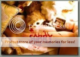 Photobucket - Video and Image Hosting