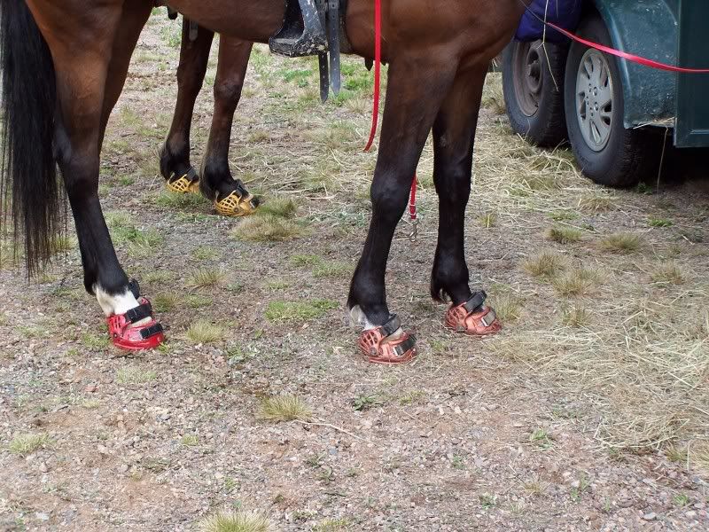 Renegade Boots Renegade