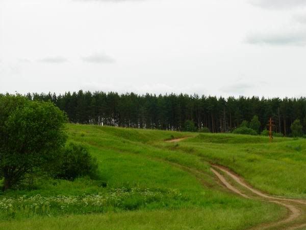 Опубликованное фото