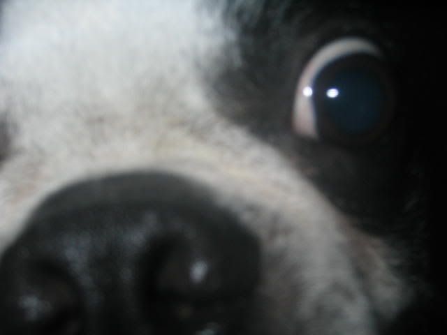 Image hosted by Photobucket.com