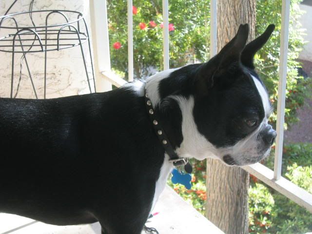 Image hosted by Photobucket.com