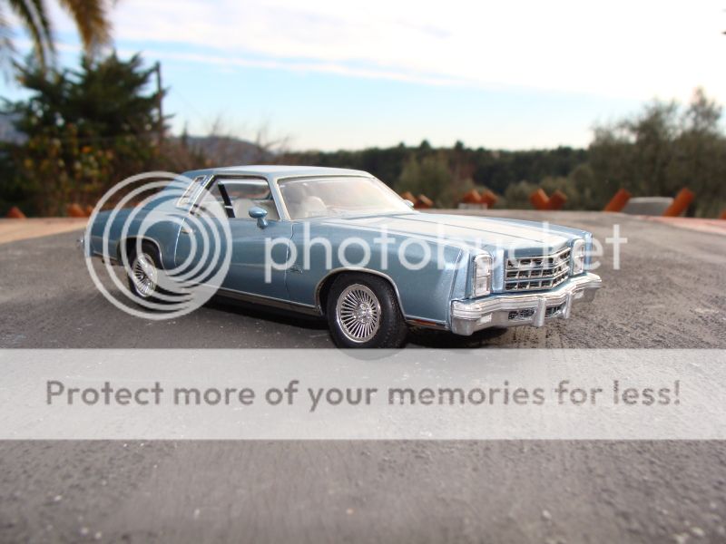 77 Chevy Monte Carlo DSC06800_zpse689e33a