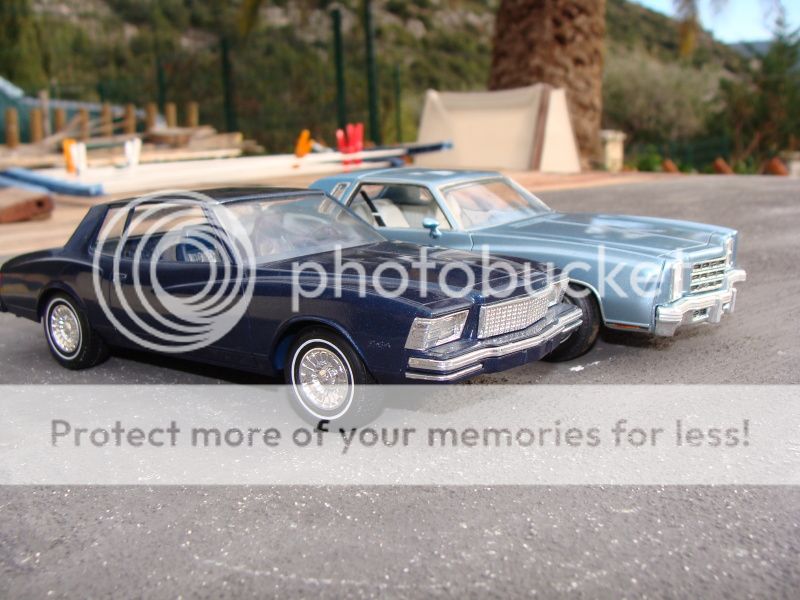 77 Chevy Monte Carlo DSC06808_zps5413493c