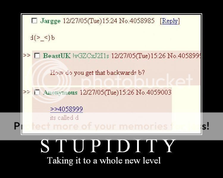 STUPIDITY Pictures, Images and Photos