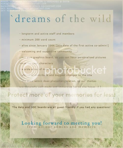 `dreams of the wild DOTW-New-Ad