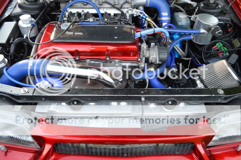 Oil cooler and location - Page 2 DSC_2645