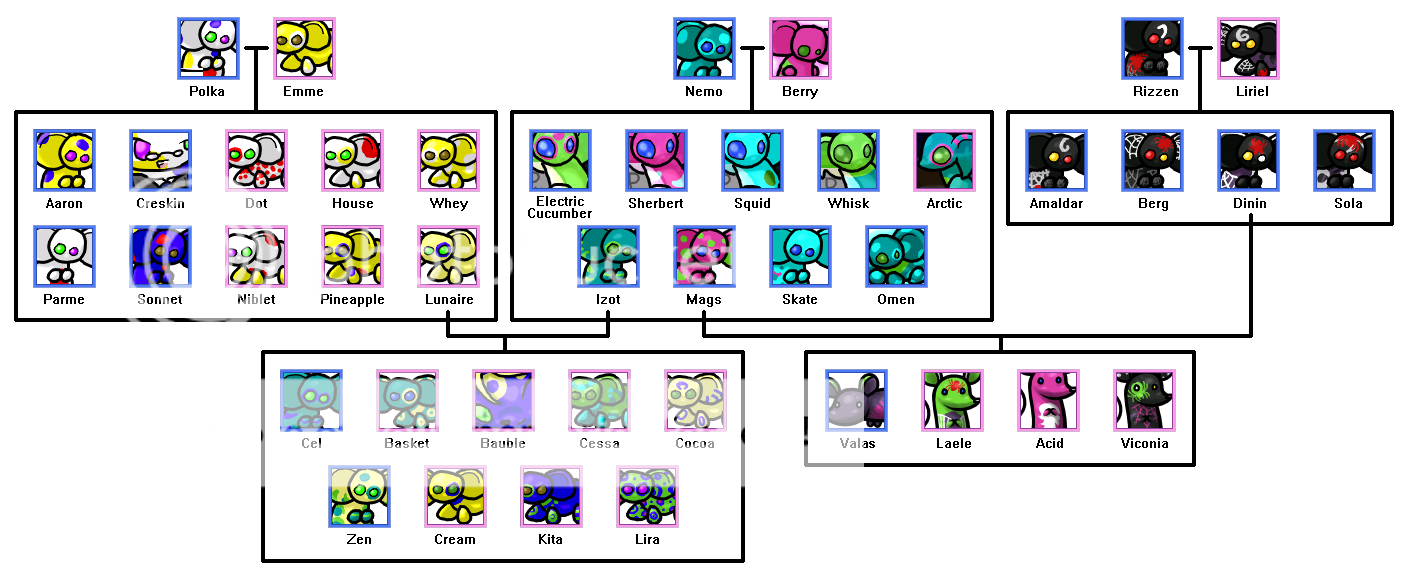 User Image