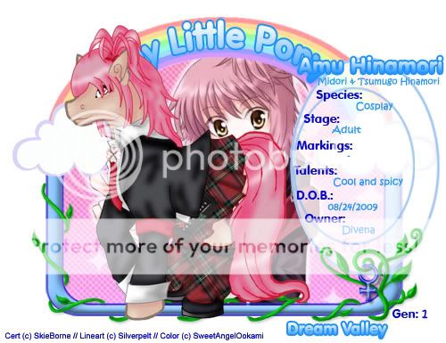 User Image
