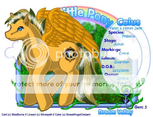 User Image
